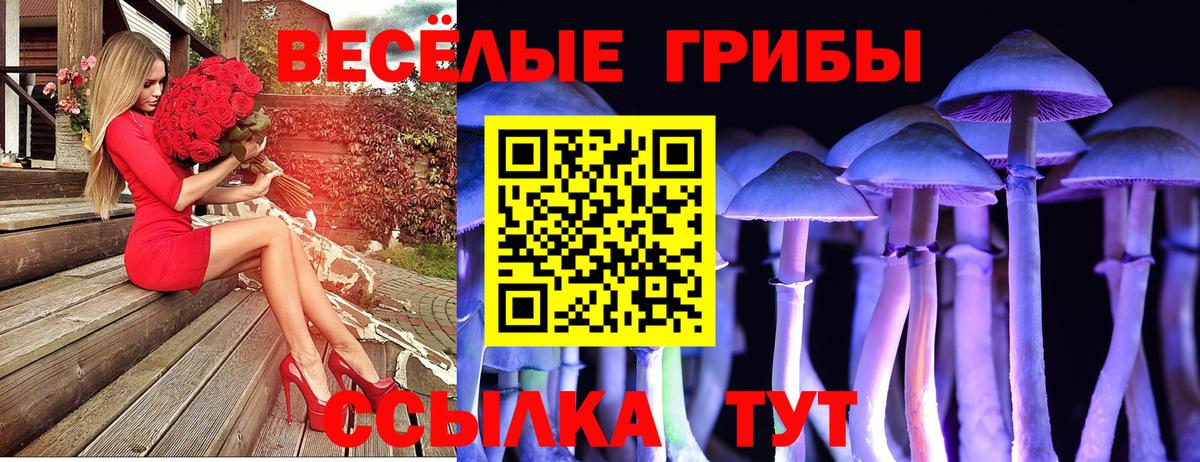 Псилоцибиновые грибы Psilocybine cubensis Тавда