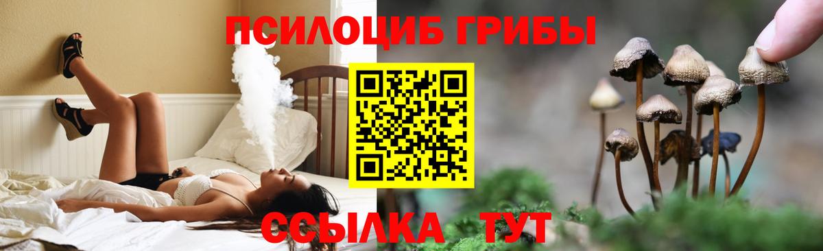 Тавда  где купить наркотик  Вход с VPN  Псилоцибиновые грибы Magic Shrooms  Галлюциногенные грибы ЛСД 